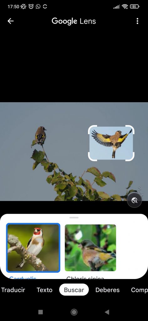Aplicación para móvil Google lens. Herramientas para fotografía en exteriores
