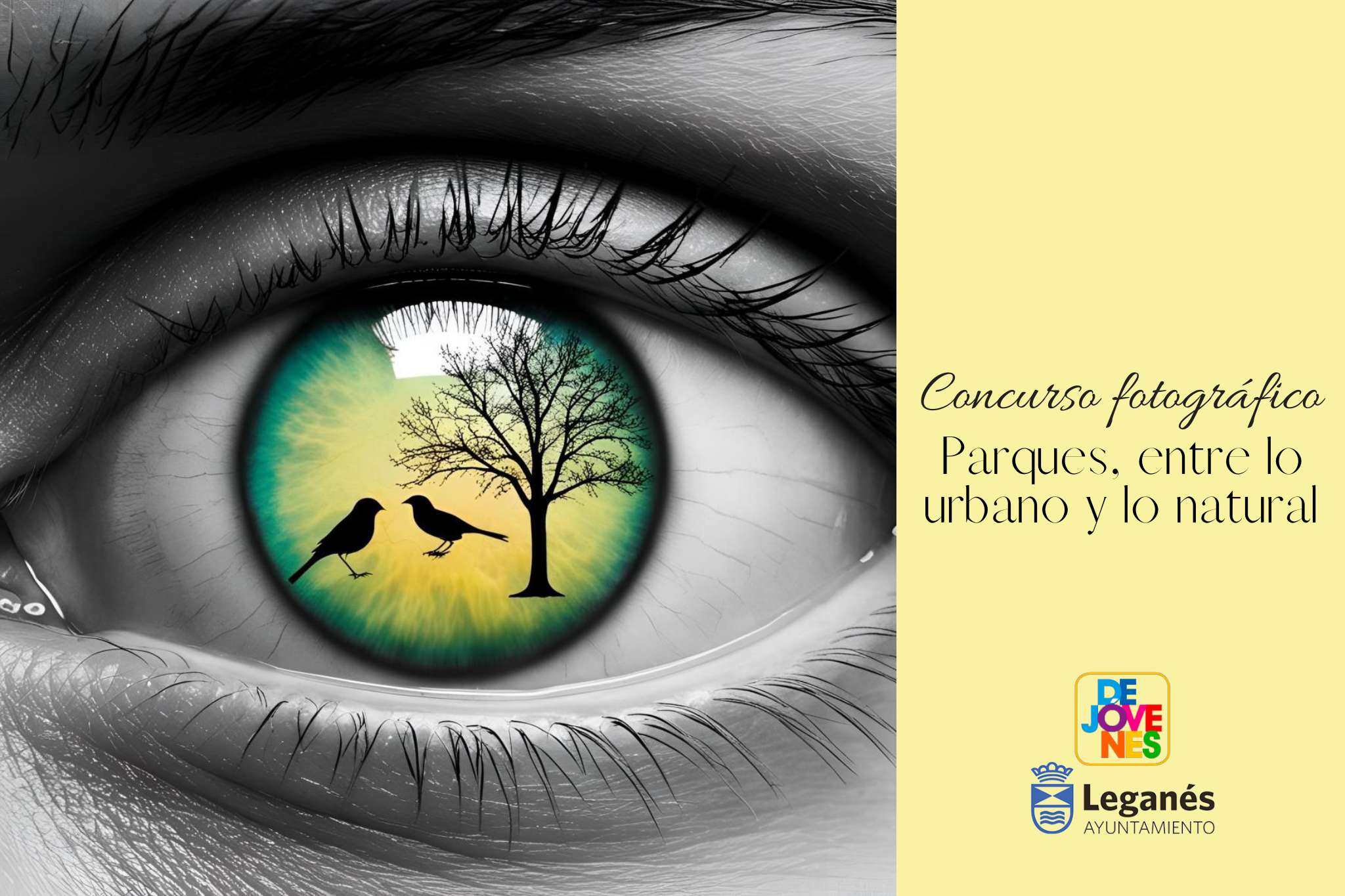 Concurso fotográfico imagen destacada